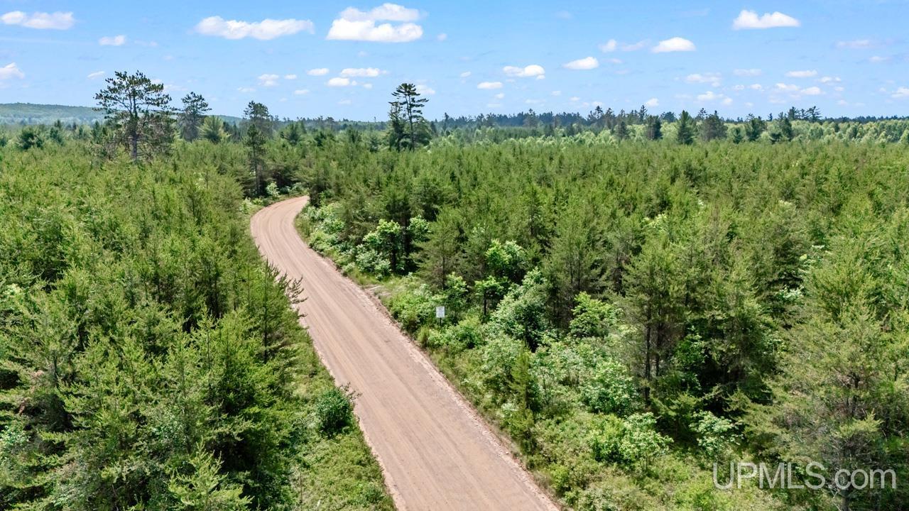 Tbd Bryan Creek Road Ishpeming, MI 49849 - Photo 7 of 16