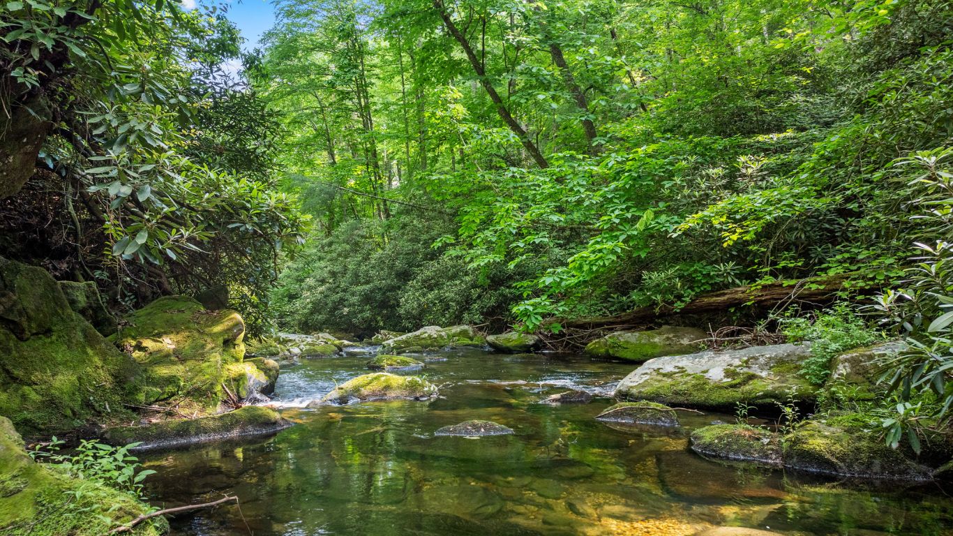 671 Walking Stick Road Highlands, NC 28741 - Photo 2 of 56 Borders Big Creek