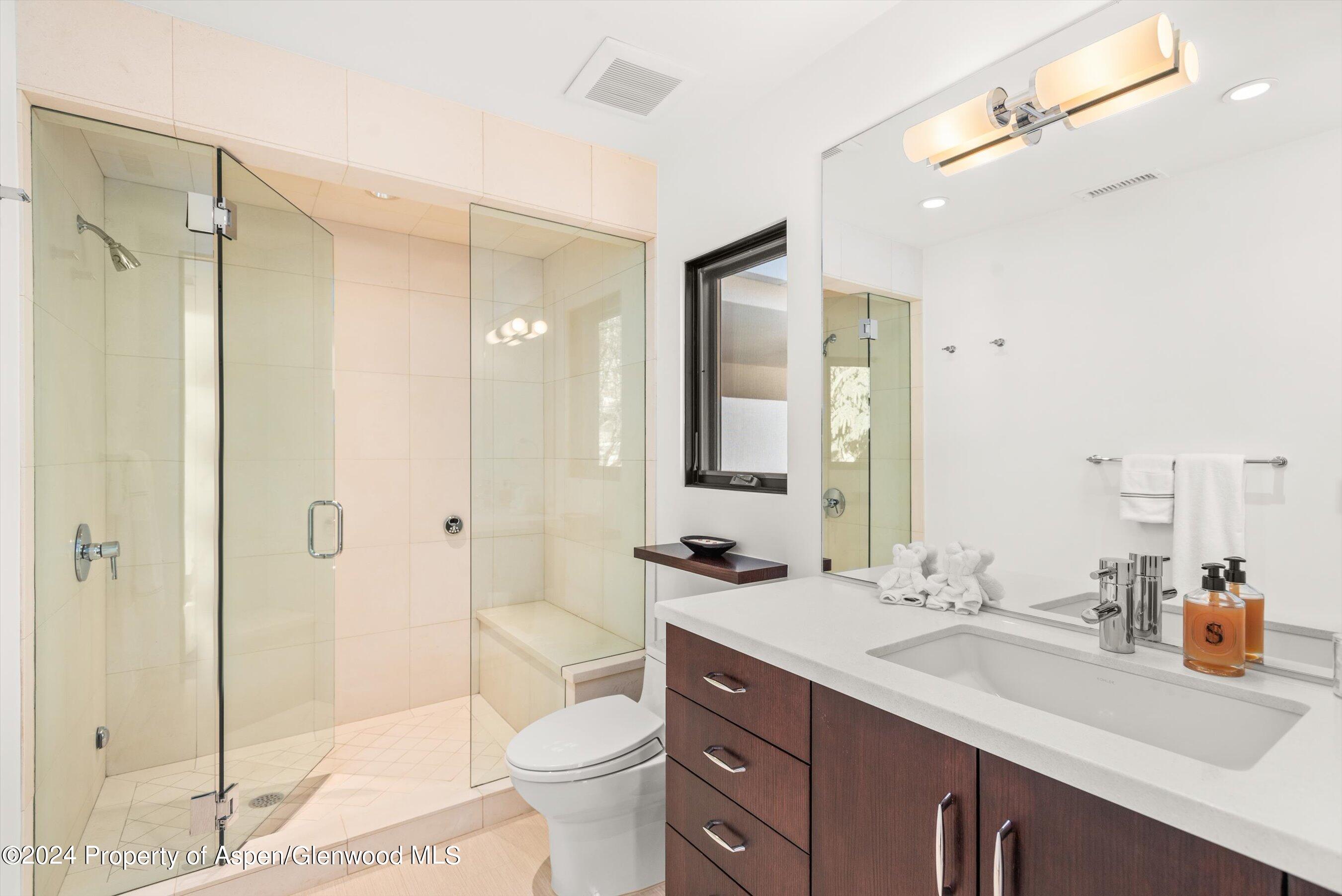 25 Nighthawk Drive Aspen, CO 81611 - Photo 28 of 34 a bathroom with a sink a toilet and shower