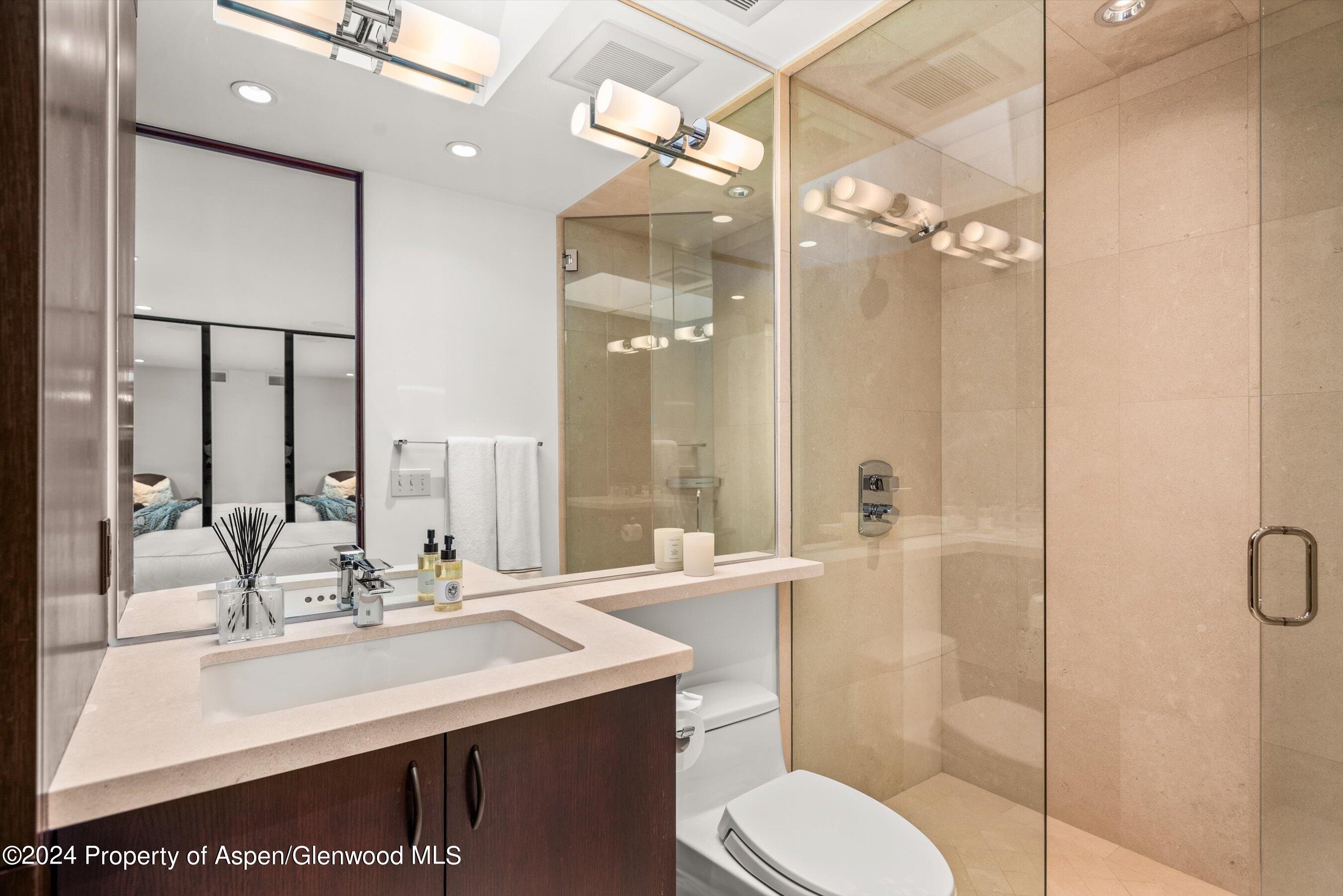 25 Nighthawk Drive Aspen, CO 81611 - Photo 31 of 34 a bathroom with a sink a toilet and shower