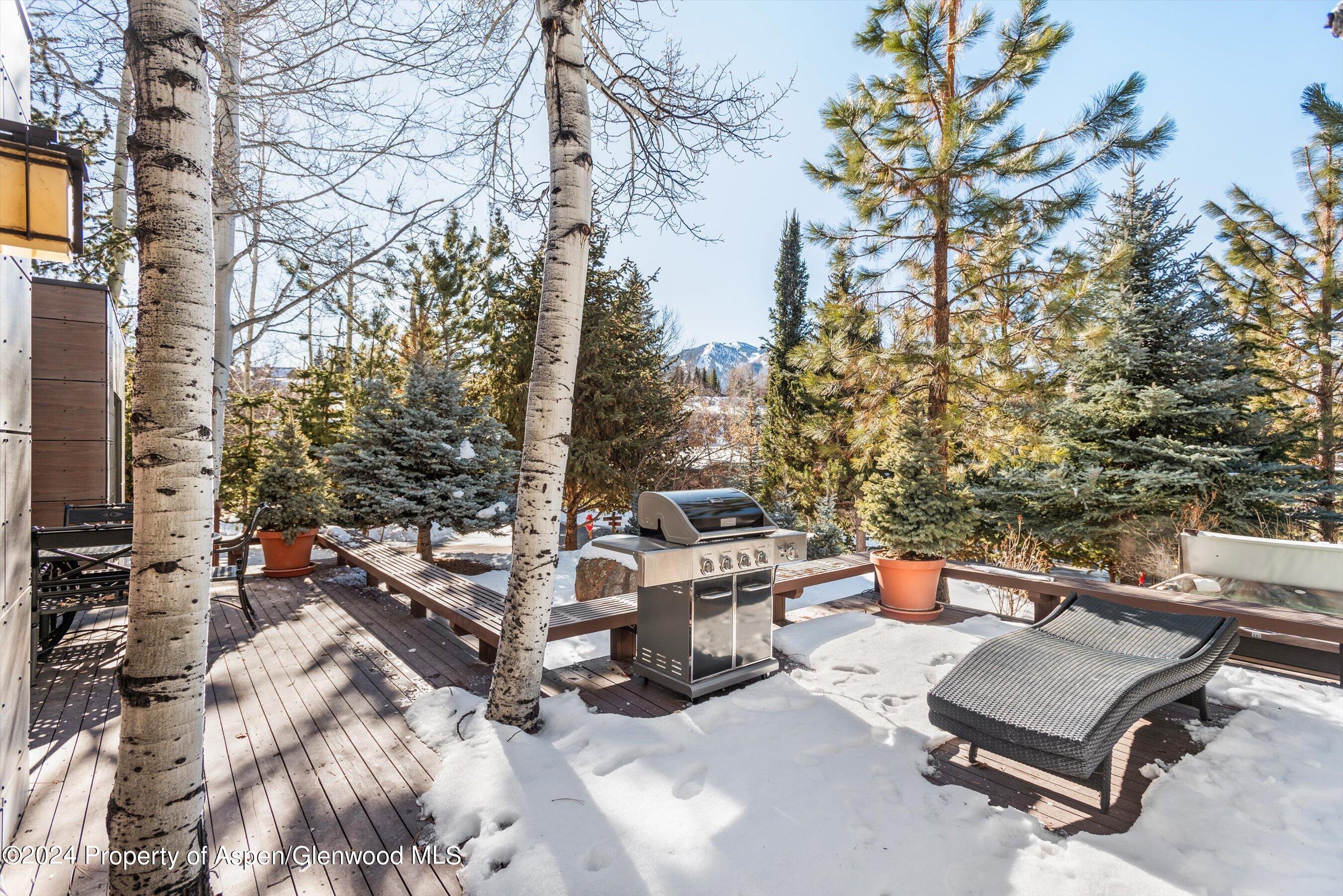 25 Nighthawk Drive Aspen, CO 81611 - Photo 5 of 34 a view of a patio with a table and chairs under an umbrella