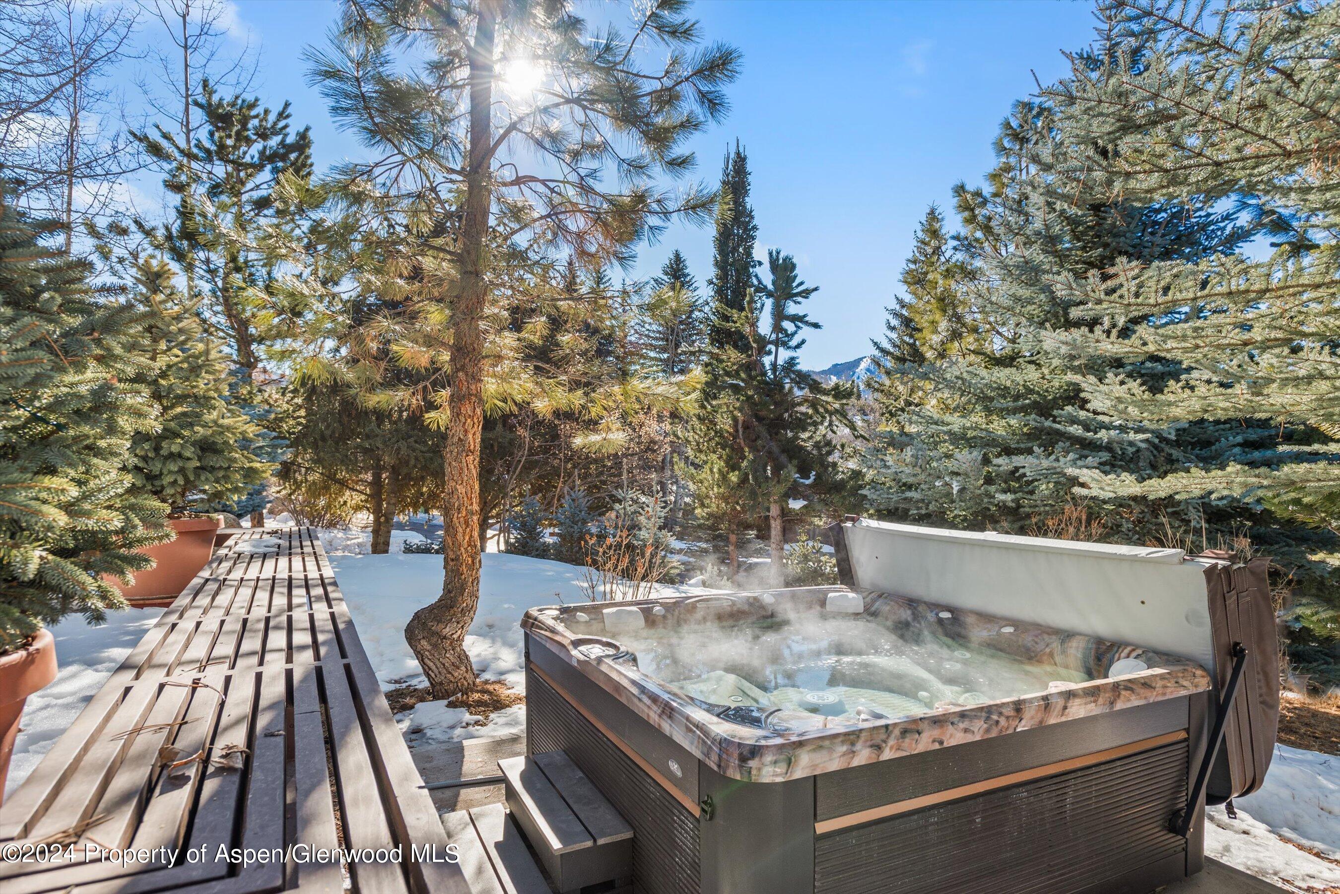 25 Nighthawk Drive Aspen, CO 81611 - Photo 6 of 34