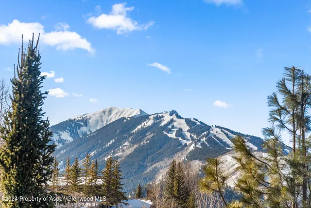 a view of a room with a tree