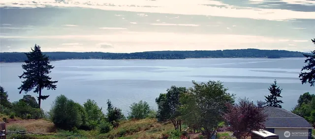 a view of a lake with a mountain