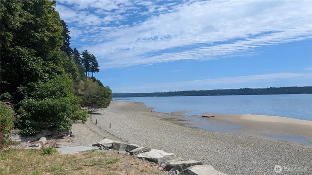 a view of a lake with a mountain