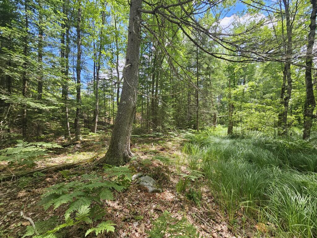 Multiple Quaker Ridge Road Leeds, ME 04263 - Photo 38 of 79 20260624_130137