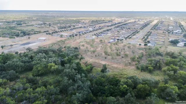 an aerial view of beach and tree