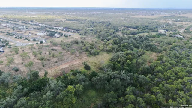 an aerial view of forest