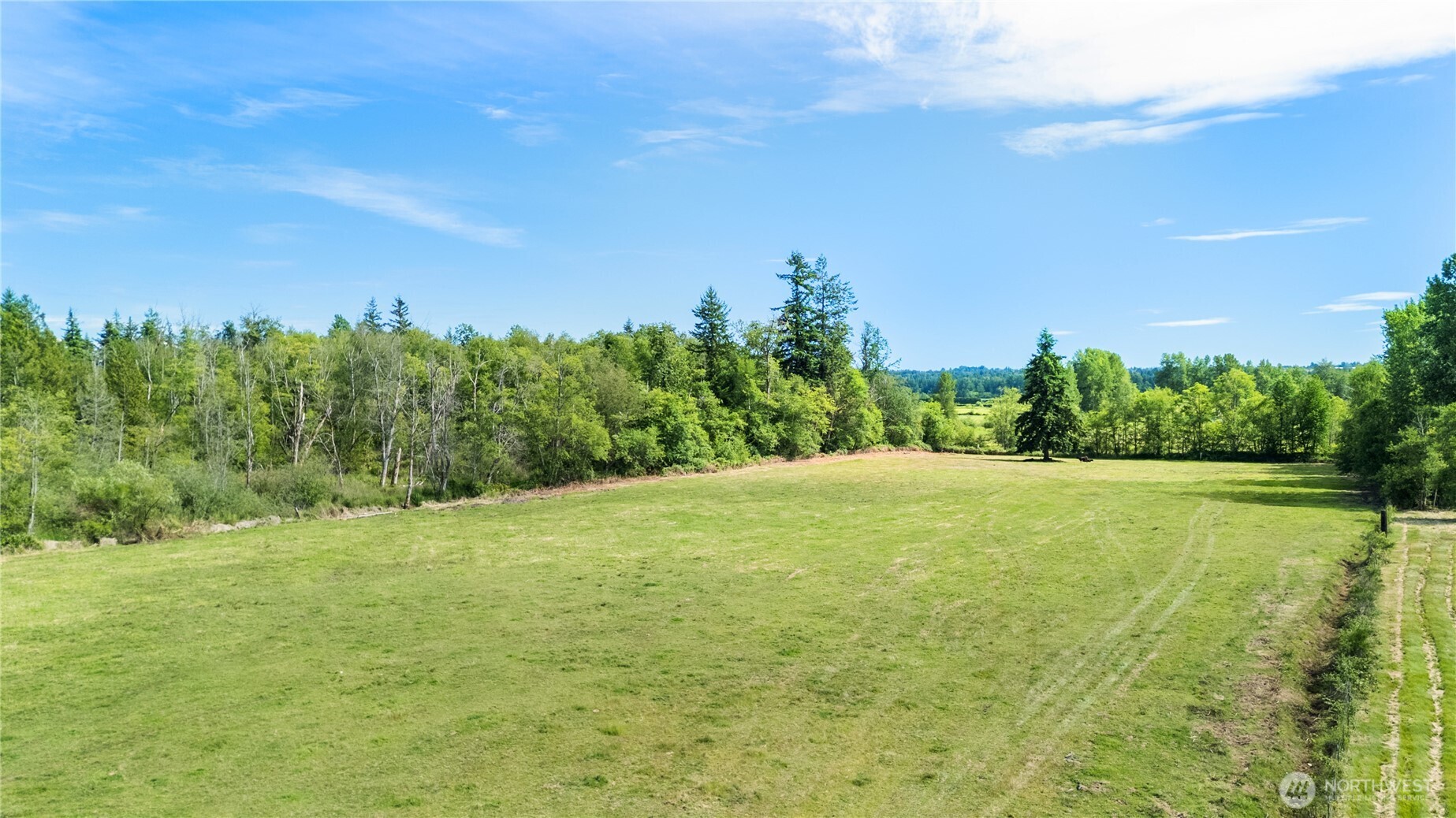3471 Birch Bay Lynden Road Custer, WA 98240 - Photo 31 of 38 a view of a big yard with large trees