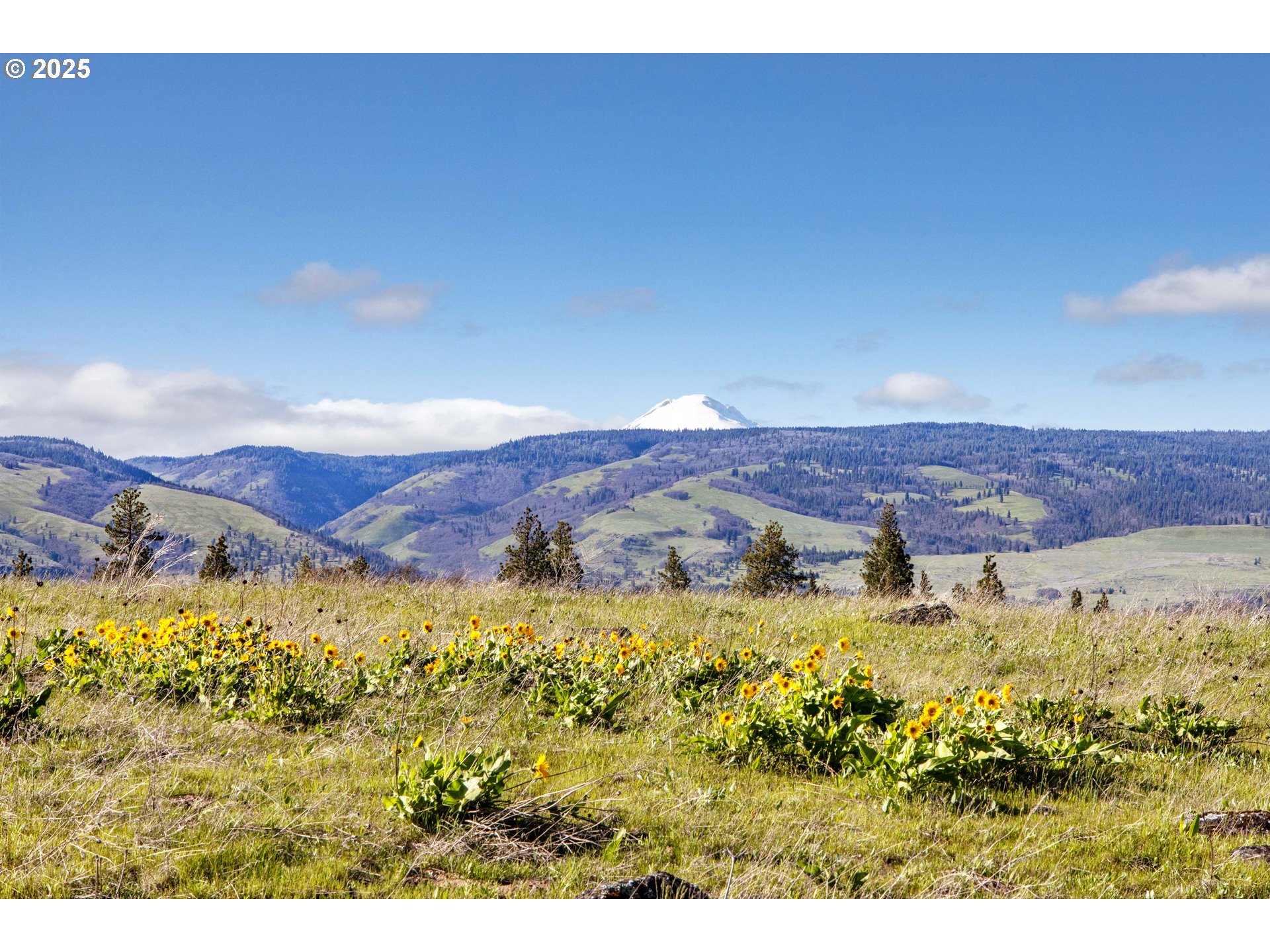 7310 Wagon Road West Mosier, OR 97040 - Photo 3 of 19 Gallery Image 3