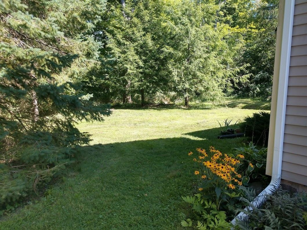 9100 Beeman Road Grass Lake, MI 49240 - Photo 4 of 14 Photo 4