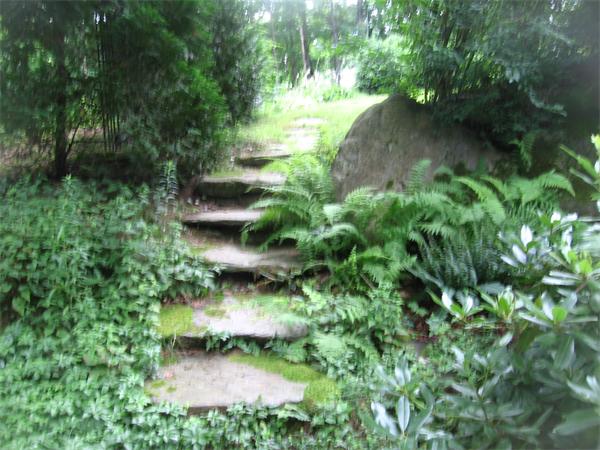 44 Old Main Road Worthington, MA 01098 - Photo 6 of 15 a view of a garden