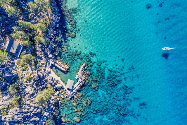 a map view of a tree