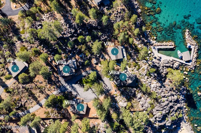 a bunch of flowers are in a garden