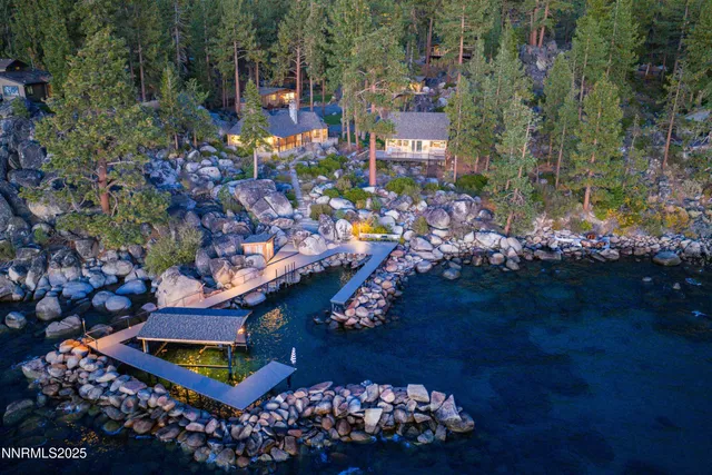 a picture of outdoor space with lots of plants and trees