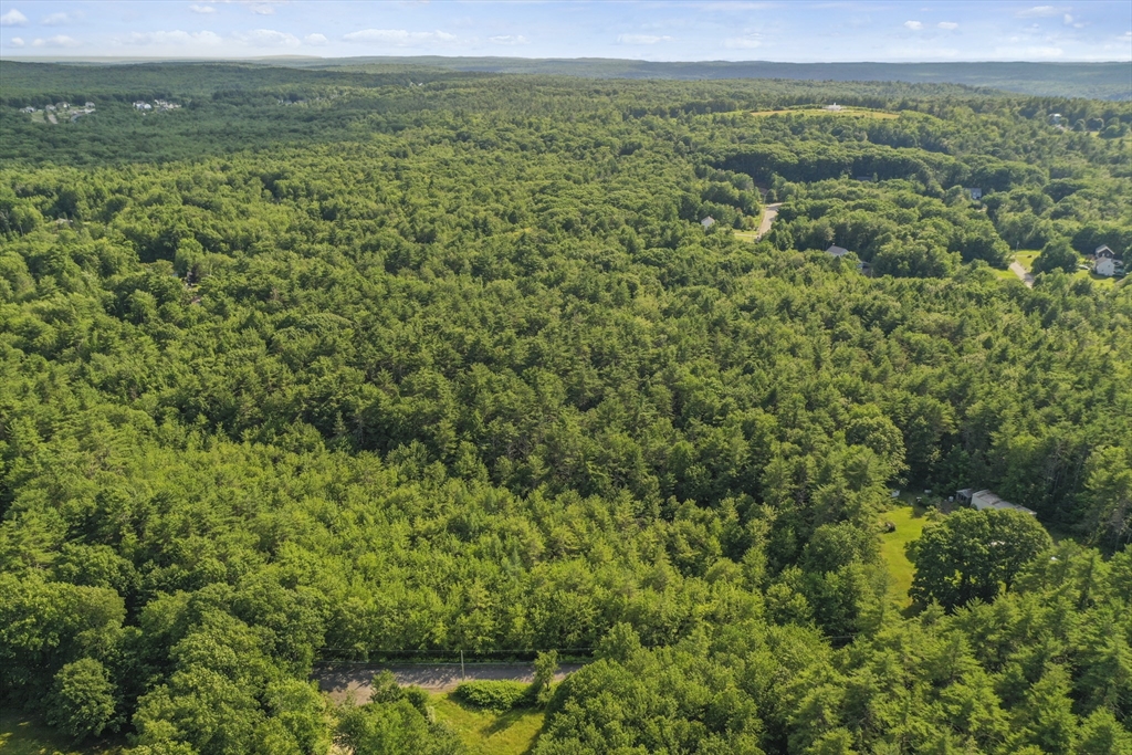 0 Partridgeville Road Templeton, MA 01468 - Photo 3 of 5 a view of a lush green forest with trees and some houses