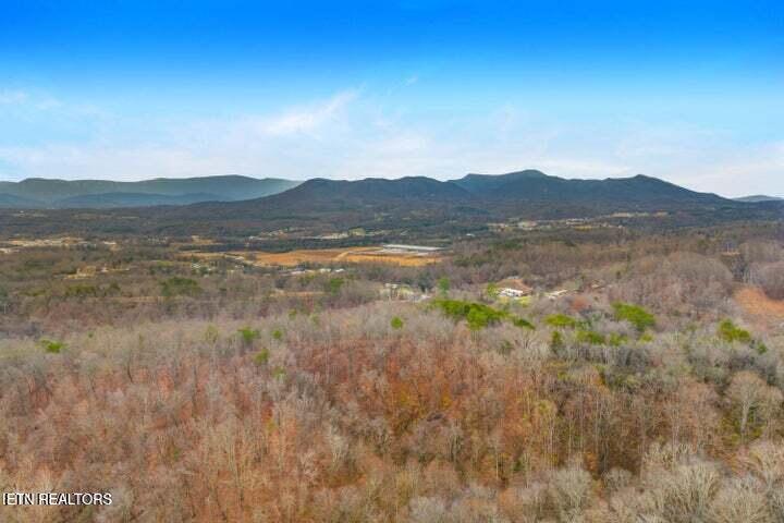 364 Jasmine Road Newport, TN 37821 - Photo 46 of 54 Jasmine 28