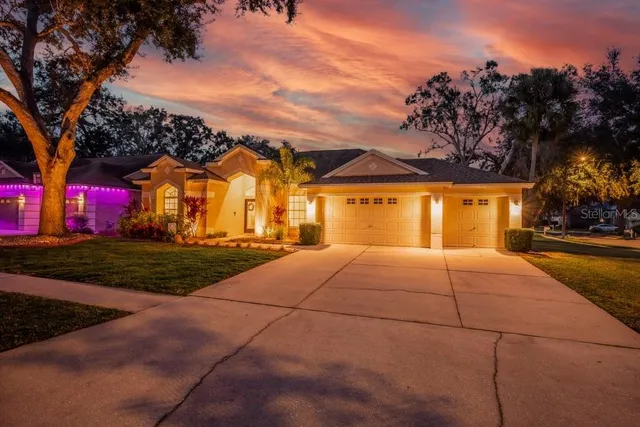 $525,000 | 12537 River Birch Drive, Riverview, FL 33569