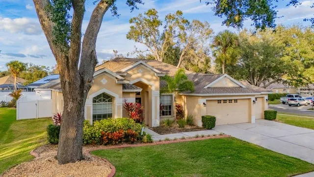 $525,000 | 12537 River Birch Drive, Riverview, FL 33569