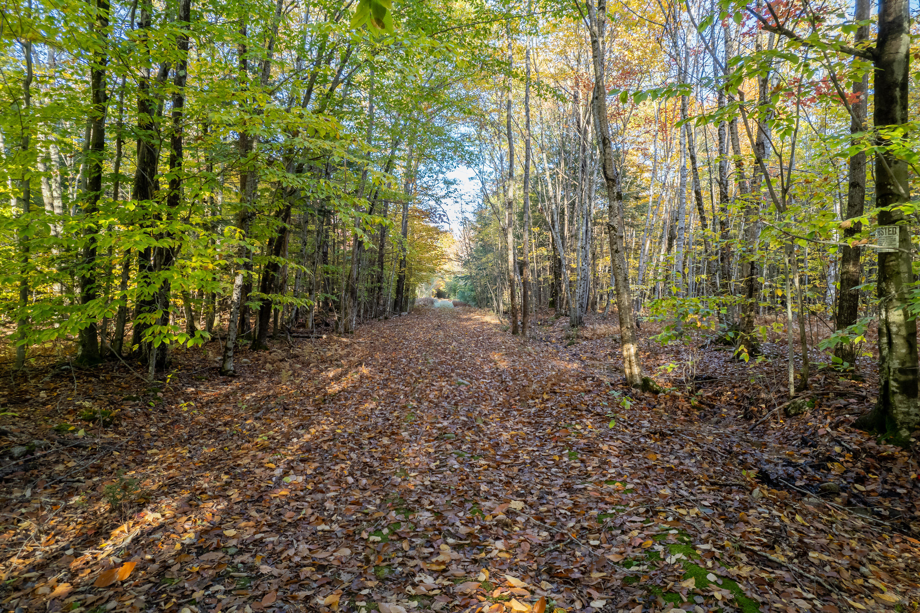 Lot 9 Maple Ridge Road Harrison, ME 04040 - Photo 5 of 19 Maple Ridge Land_107