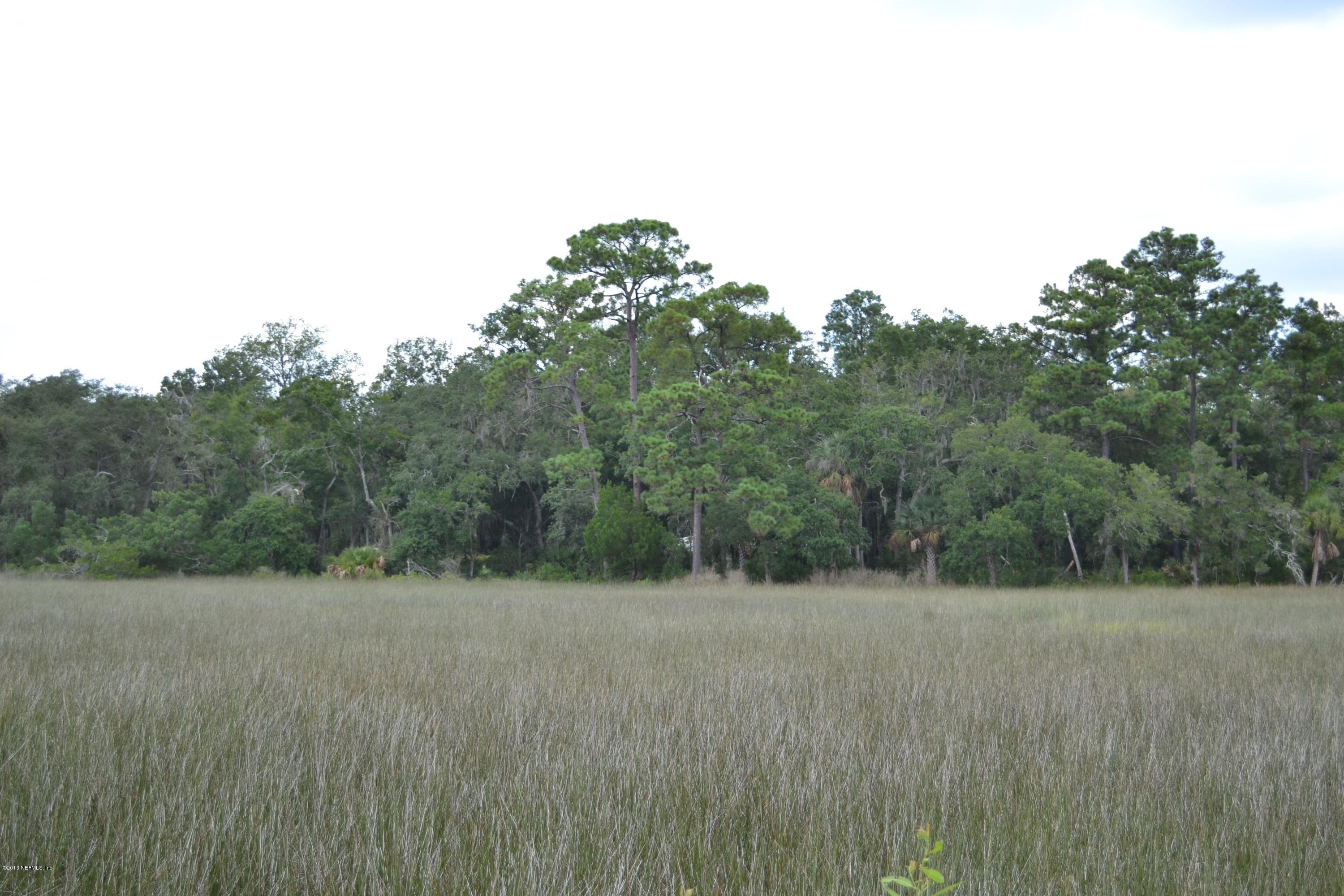 5900 Sheffield Road Jacksonville, FL 32226 - Photo 61 of 69 Land View