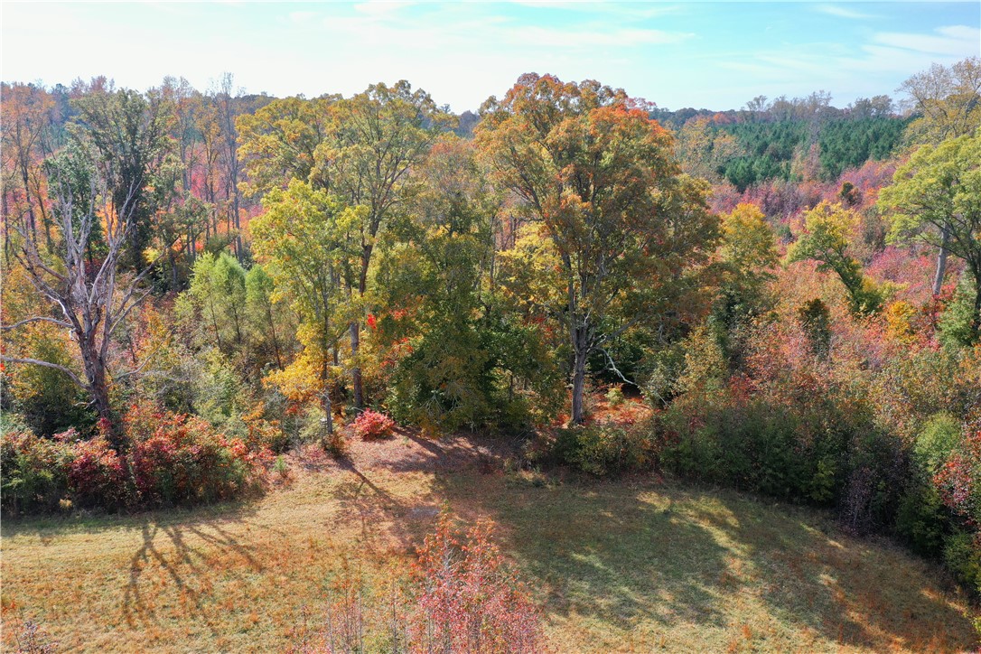 0 Old Shoals Junction Road Hodges, SC 29653 - Photo 11 of 42