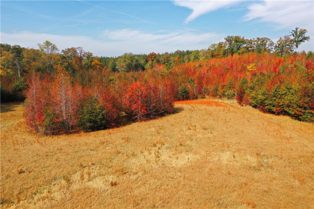 0 Old Shoals Junction Road Hodges, SC 29653 - Photo 12 of 42