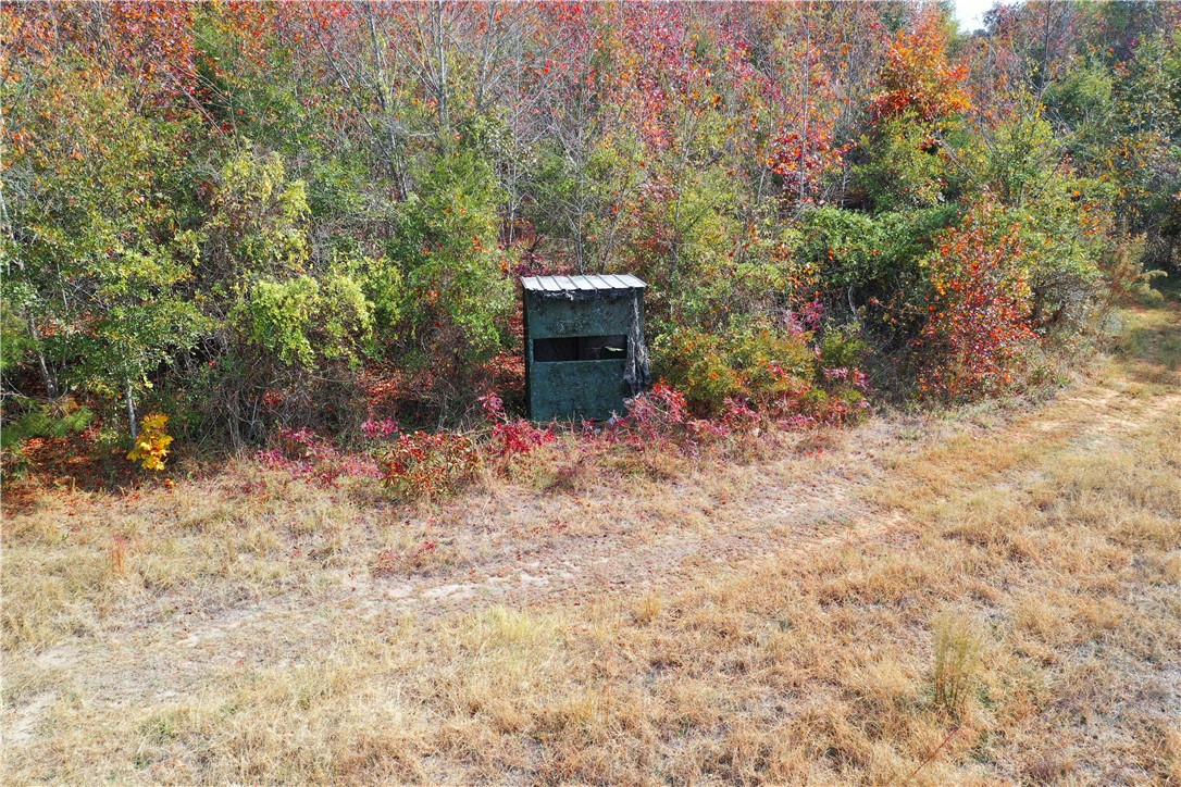 0 Old Shoals Junction Road Hodges, SC 29653 - Photo 13 of 42