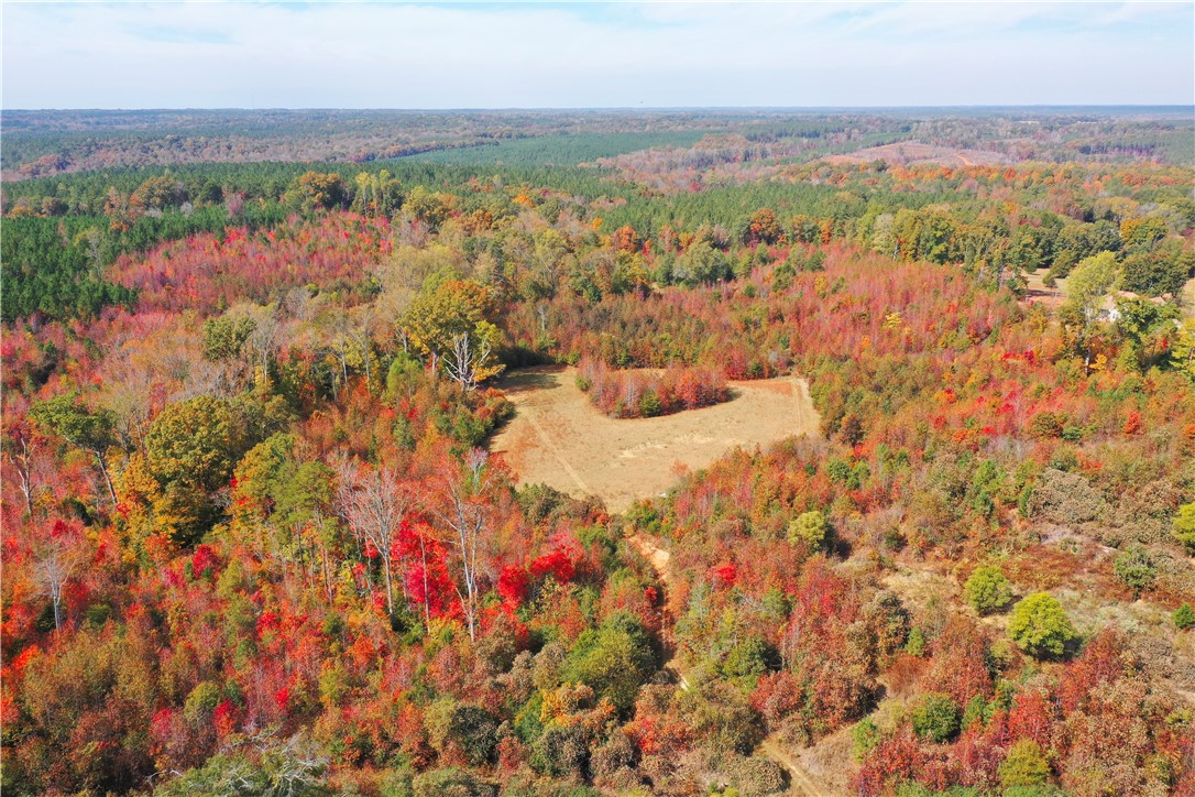 0 Old Shoals Junction Road Hodges, SC 29653 - Photo 15 of 42