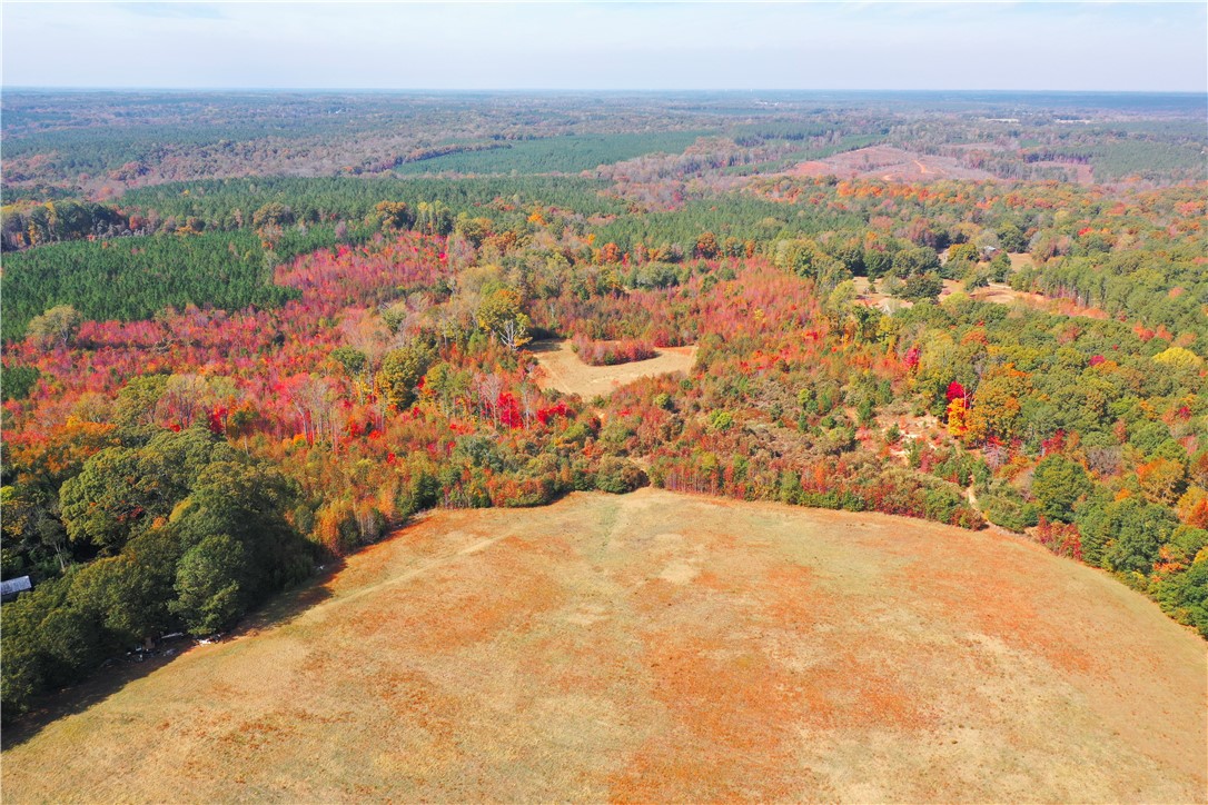 0 Old Shoals Junction Road Hodges, SC 29653 - Photo 16 of 42