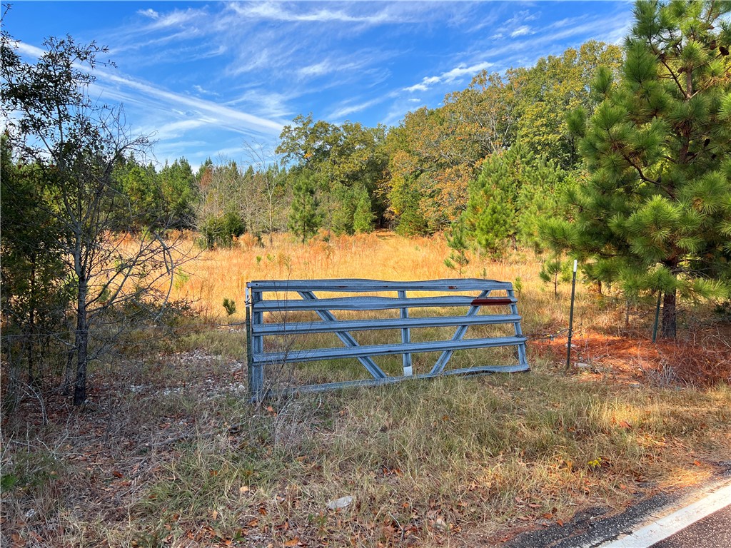 0 Old Shoals Junction Road Hodges, SC 29653 - Photo 17 of 42