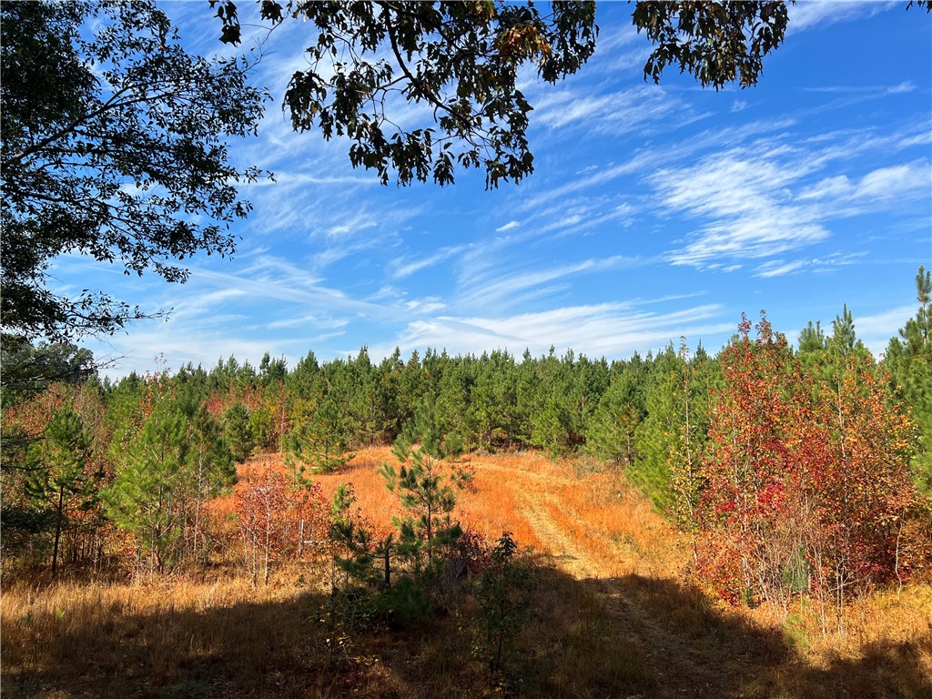 0 Old Shoals Junction Road Hodges, SC 29653 - Photo 19 of 42