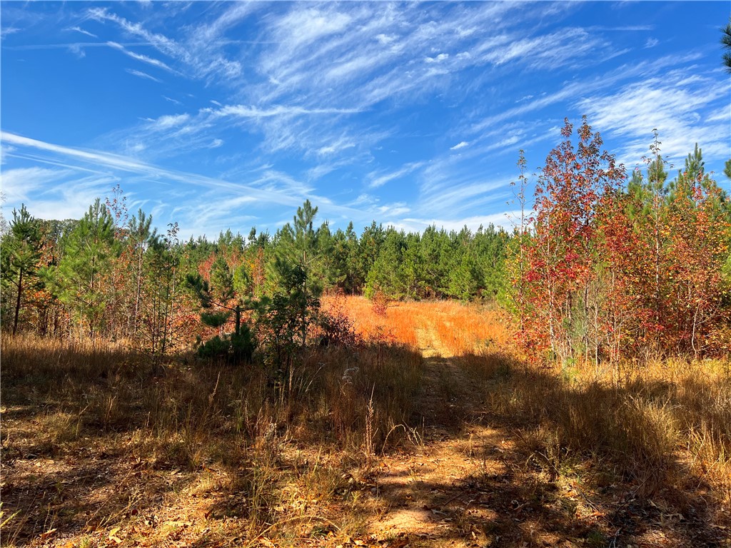 0 Old Shoals Junction Road Hodges, SC 29653 - Photo 20 of 42