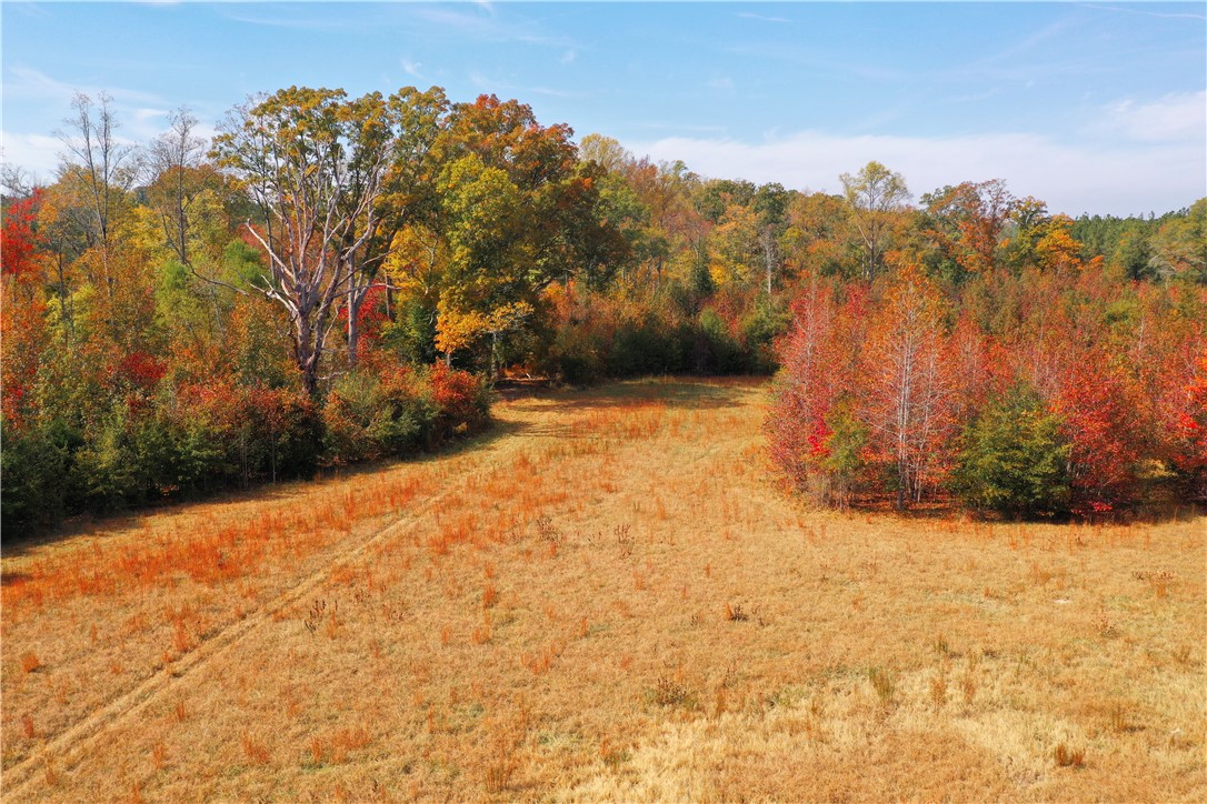 0 Old Shoals Junction Road Hodges, SC 29653 - Photo 2 of 42