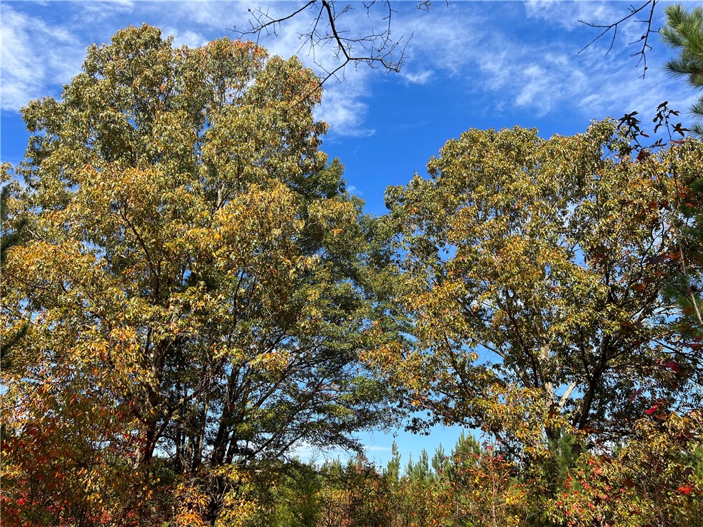 0 Old Shoals Junction Road Hodges, SC 29653 - Photo 23 of 42