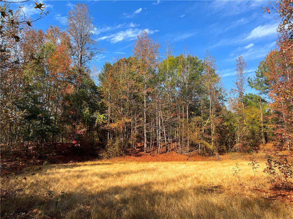 0 Old Shoals Junction Road Hodges, SC 29653 - Photo 25 of 42