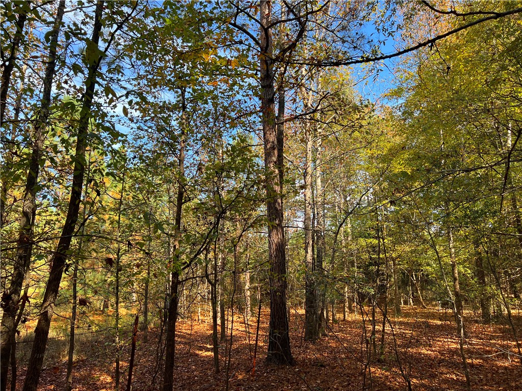 0 Old Shoals Junction Road Hodges, SC 29653 - Photo 26 of 42