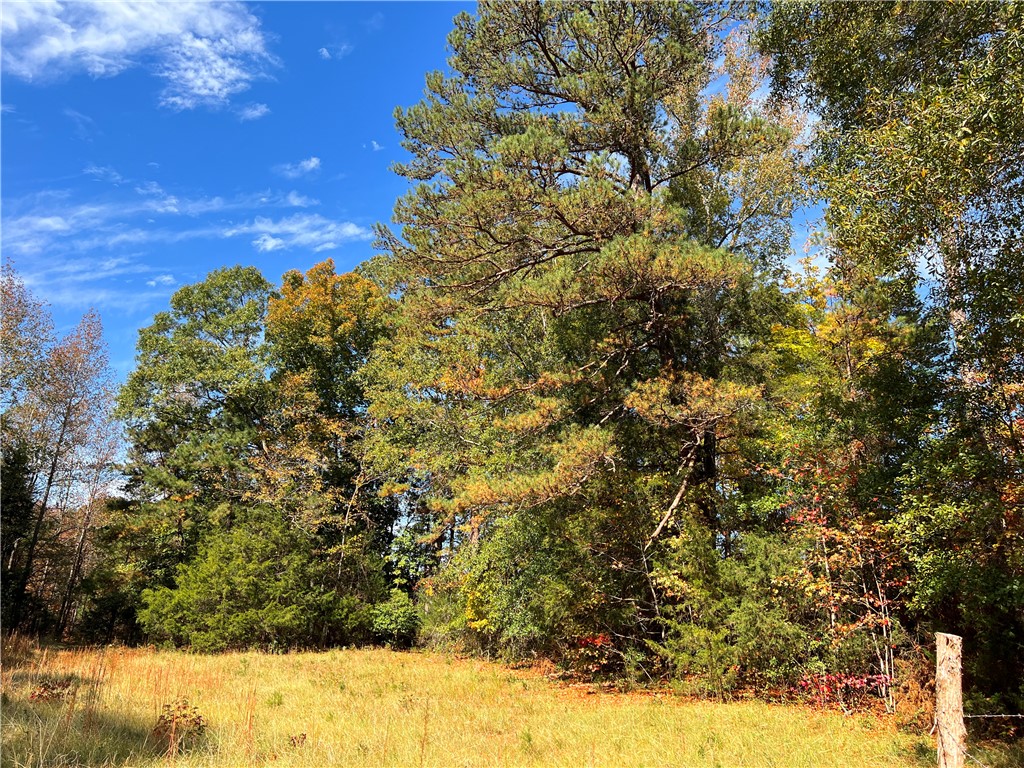0 Old Shoals Junction Road Hodges, SC 29653 - Photo 27 of 42