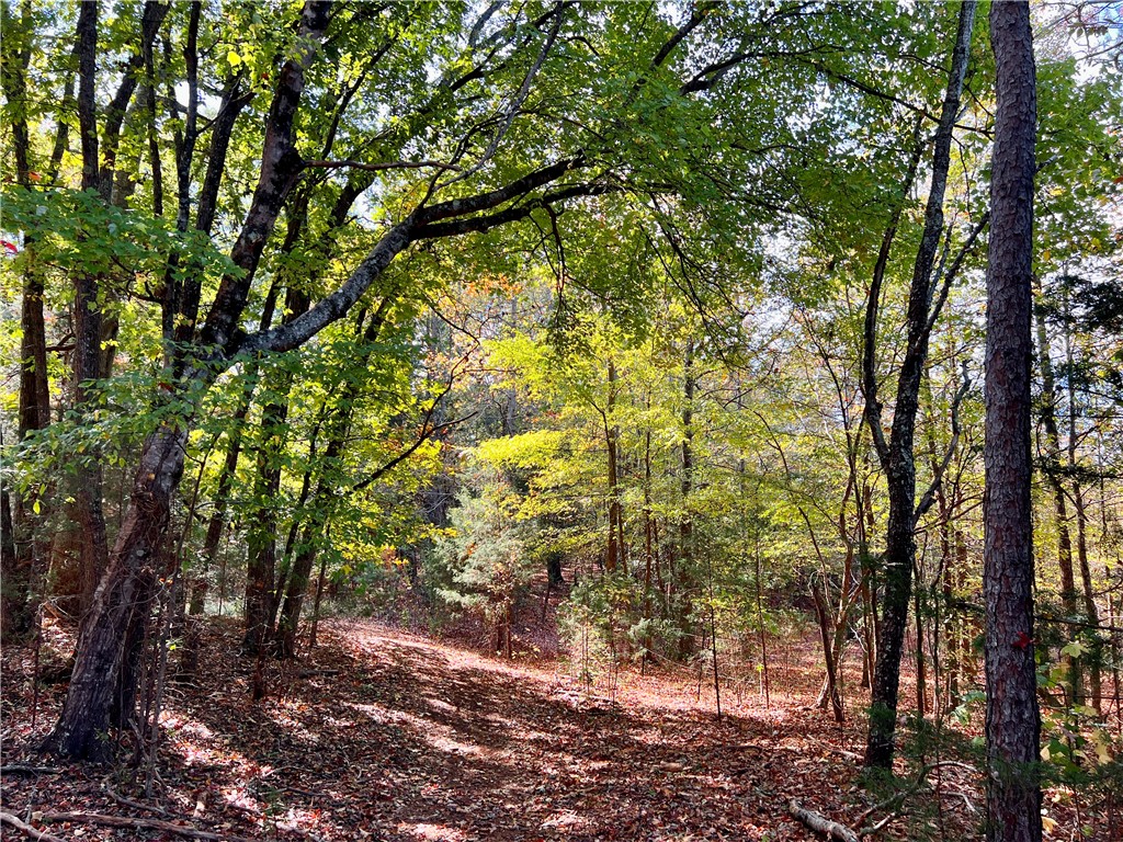 0 Old Shoals Junction Road Hodges, SC 29653 - Photo 28 of 42