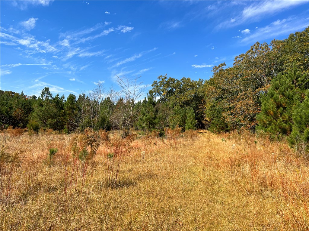 0 Old Shoals Junction Road Hodges, SC 29653 - Photo 30 of 42
