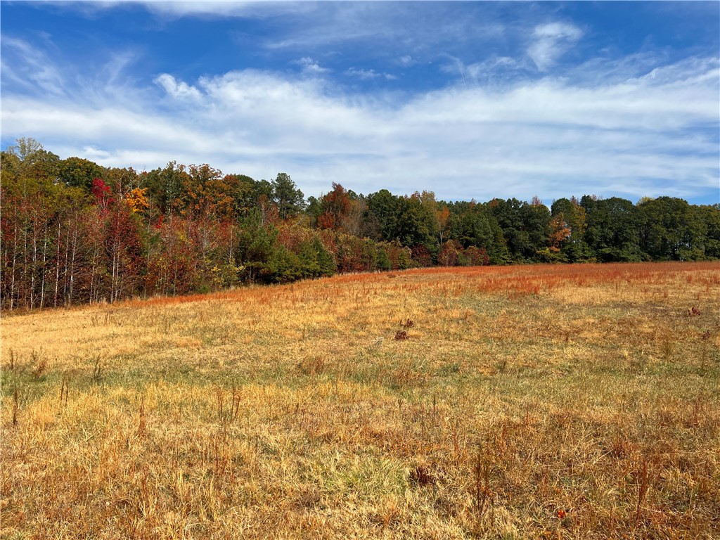 0 Old Shoals Junction Road Hodges, SC 29653 - Photo 31 of 42