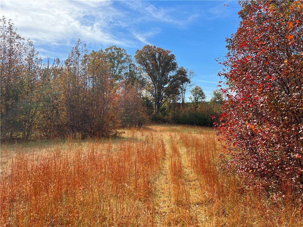0 Old Shoals Junction Road Hodges, SC 29653 - Photo 38 of 42