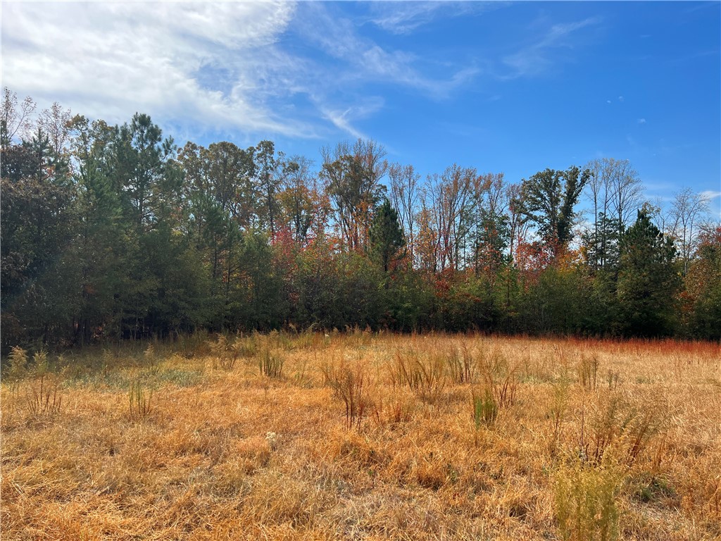 0 Old Shoals Junction Road Hodges, SC 29653 - Photo 39 of 42