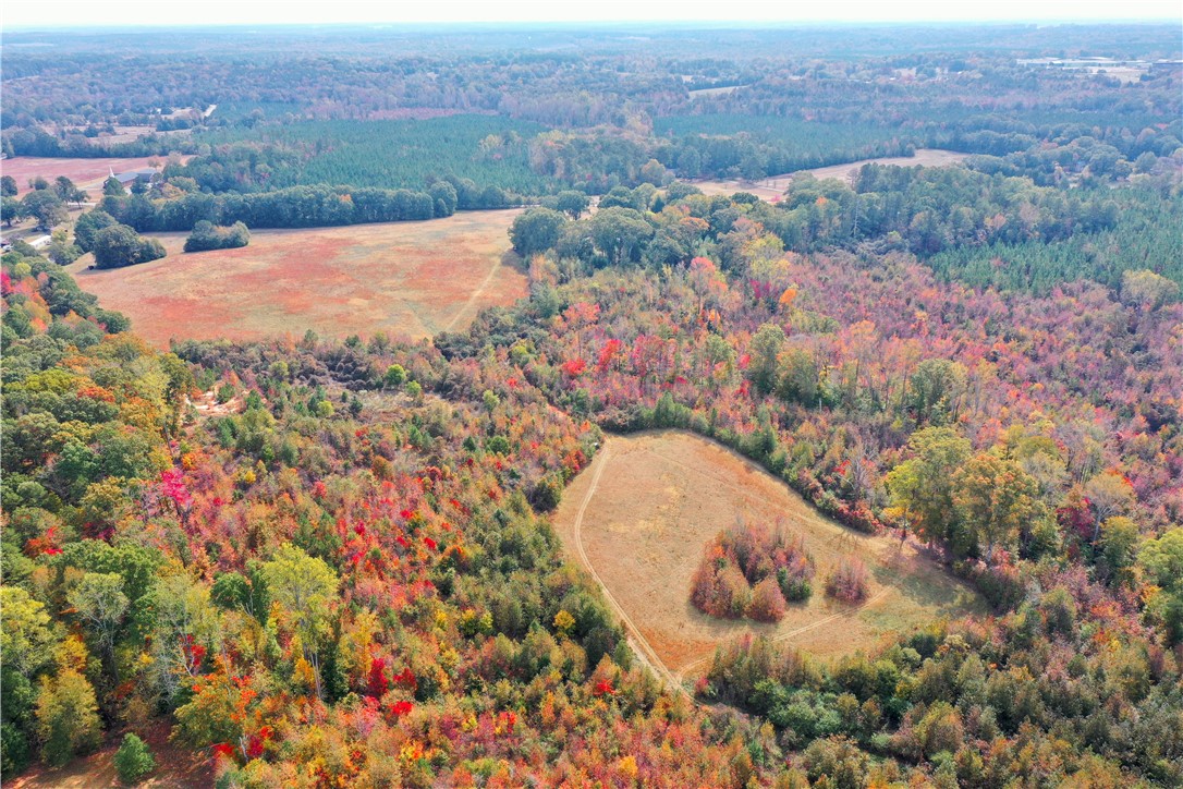 0 Old Shoals Junction Road Hodges, SC 29653 - Photo 4 of 42