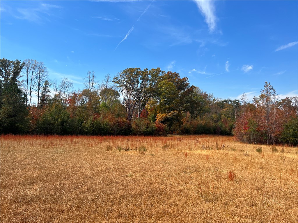 0 Old Shoals Junction Road Hodges, SC 29653 - Photo 41 of 42
