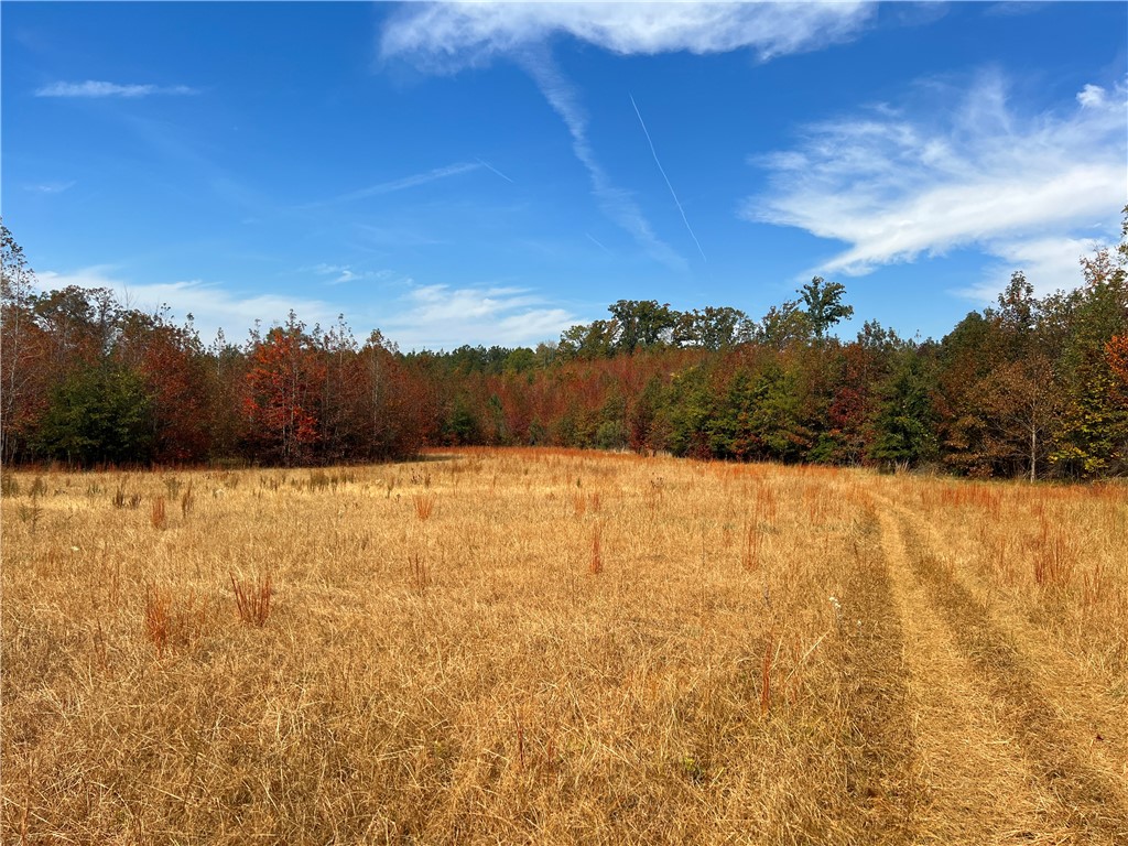 0 Old Shoals Junction Road Hodges, SC 29653 - Photo 42 of 42