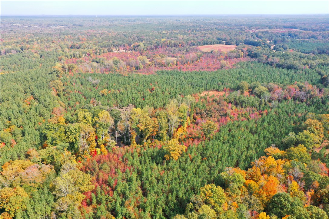 0 Old Shoals Junction Road Hodges, SC 29653 - Photo 9 of 42
