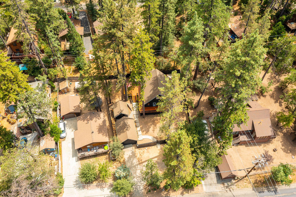 53589 Tollgate Road Idyllwild, CA 92549 - Photo 49 of 51 a picture of a tree