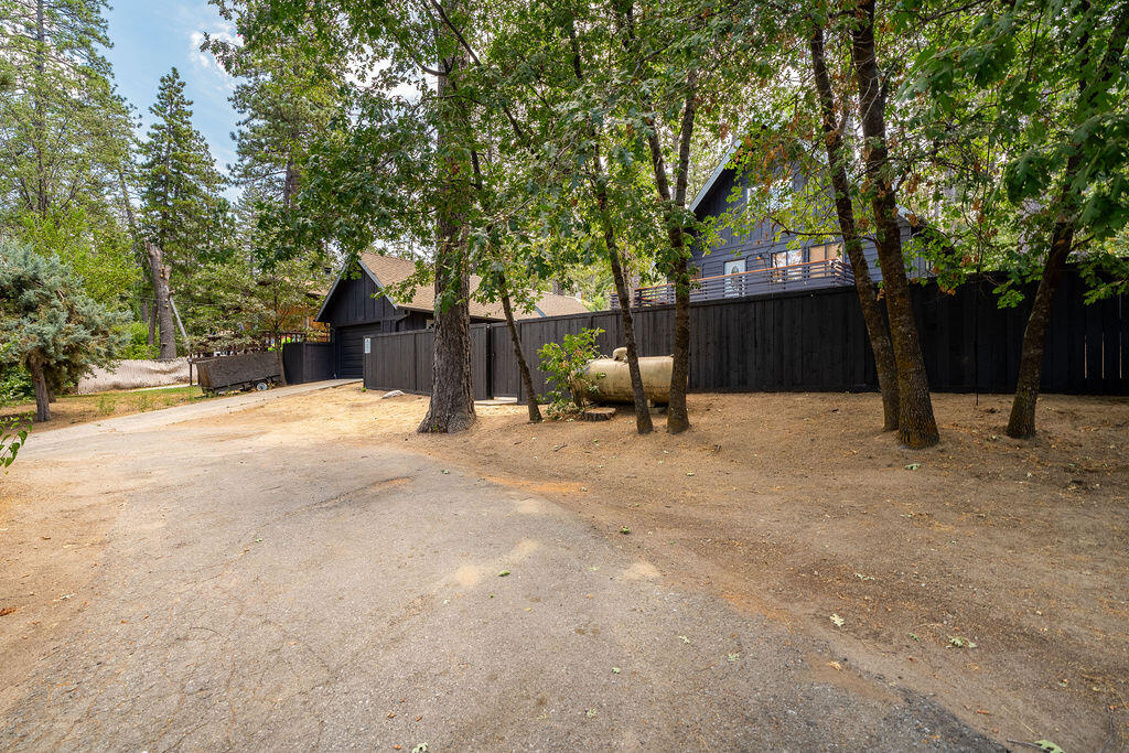 53589 Tollgate Road Idyllwild, CA 92549 - Photo 6 of 51 a view of a outdoor space with a tree