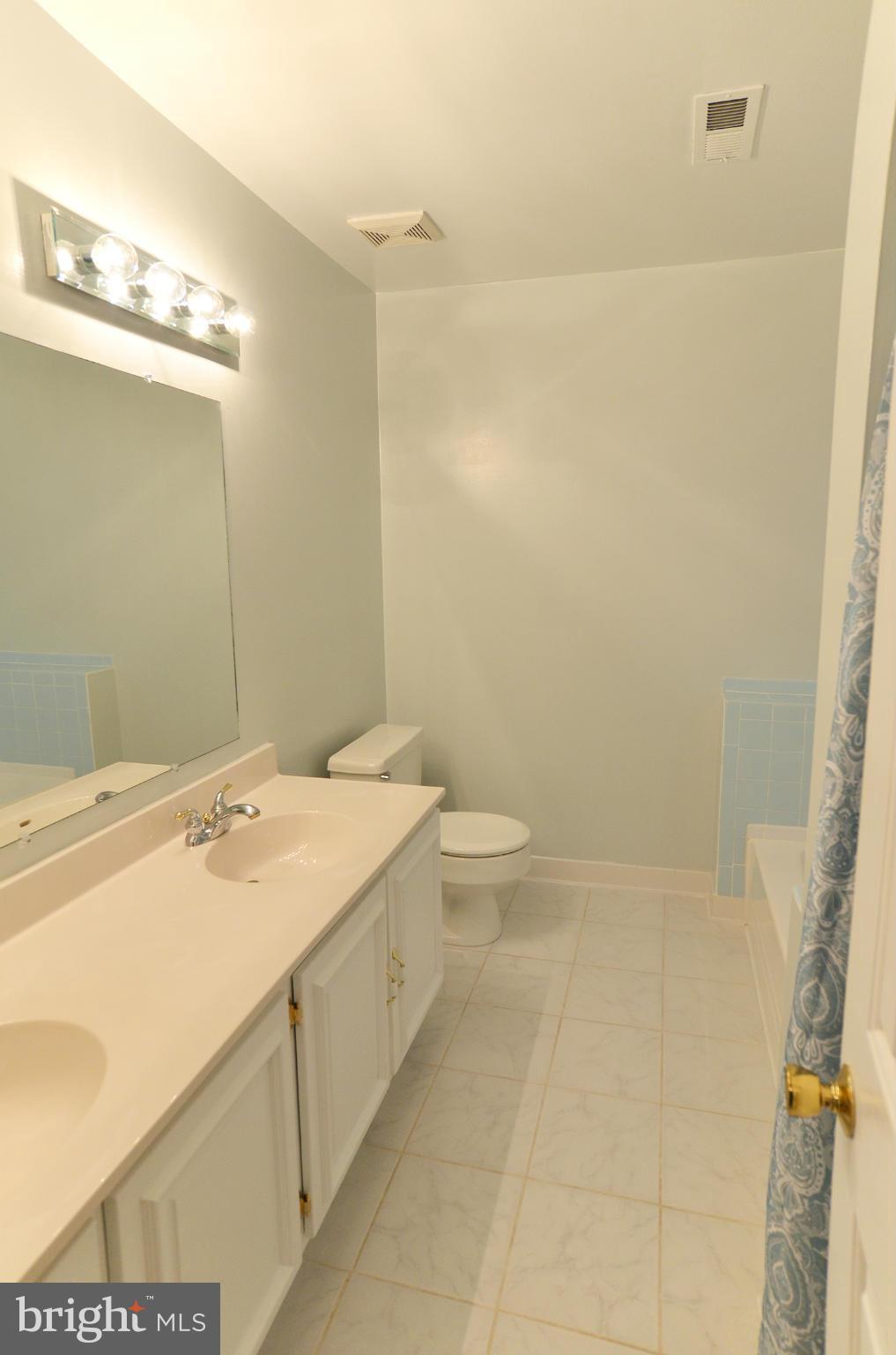 10107 Marshall Pond Road Burke, VA 22015 - Photo 19 of 29 Bath (Master)